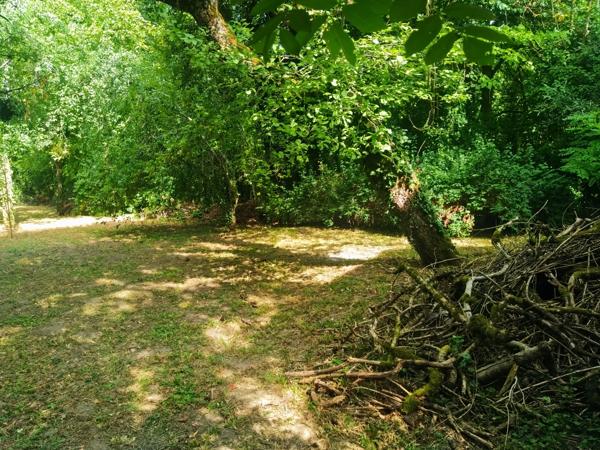 Maison en bord de rivière avec son parc