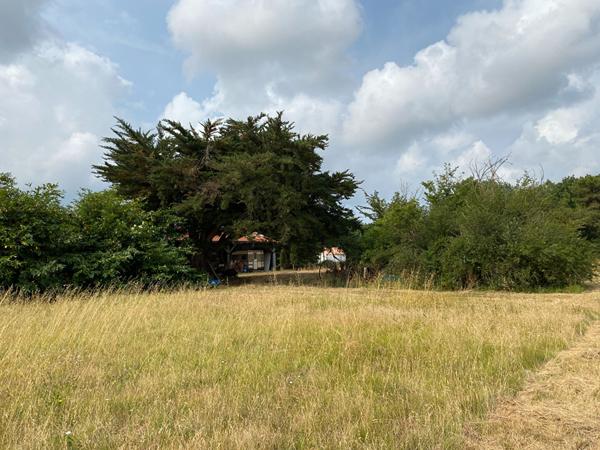 Terrain Saint Hilaire De Riez 3 pièce(s) 1017 m2