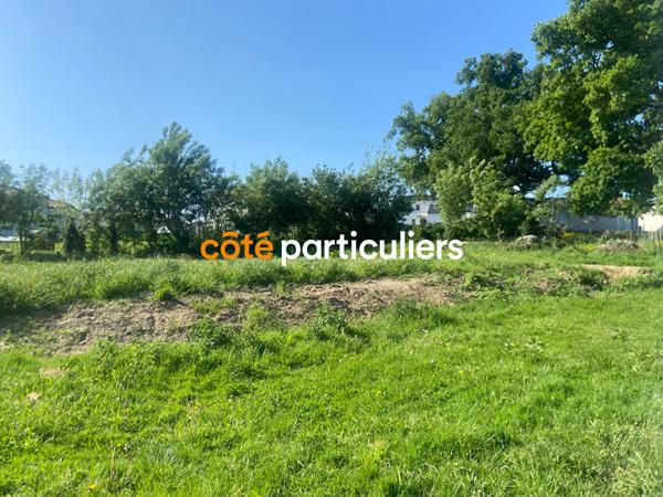 Vente Terrain1000 m² - CHOLET (49300)