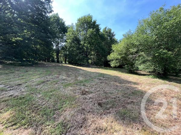 Terrain à vendre  3207 m2 PANAZOL - 87