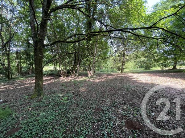 Terrain à vendre  3207 m2 PANAZOL - 87