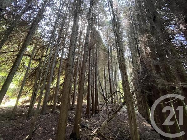 Terrain à vendre  3207 m2 PANAZOL - 87