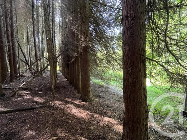 Terrain à vendre  3207 m2 PANAZOL - 87