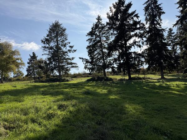 Vente / Terrain de loisirs