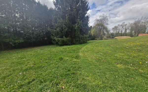 Terrain à vendre    Couzeix