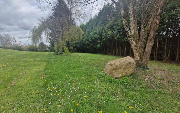 Terrain à vendre    Couzeix