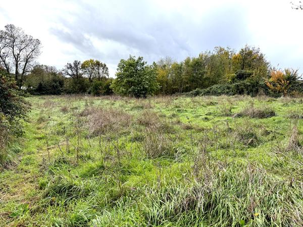 Terrain Saint Cyr En Talmondais 1500 m2