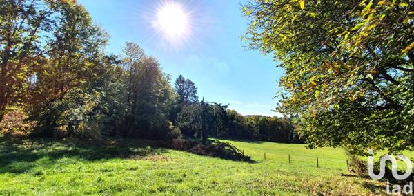 Terrain à vendre 2 500 m² Albussac