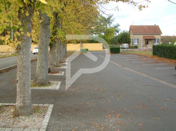 Local d'activité 11 pièces 300 m2