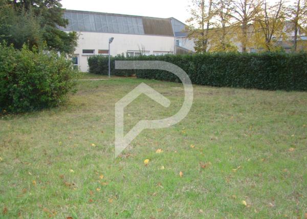 Local d'activité 11 pièces 300 m2