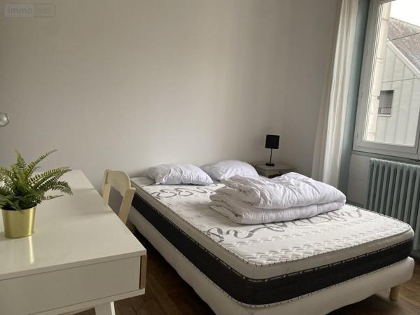 Immeuble à vendre à Angers dans le Maine-et-Loire (49100), ref : 49008-78