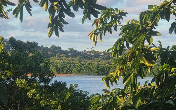 Terrain à vendre    Le Vauclin