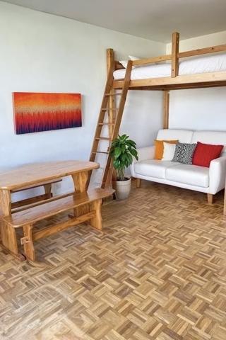 Appartement 1 pièce - 29 m² Exclusivité efficity