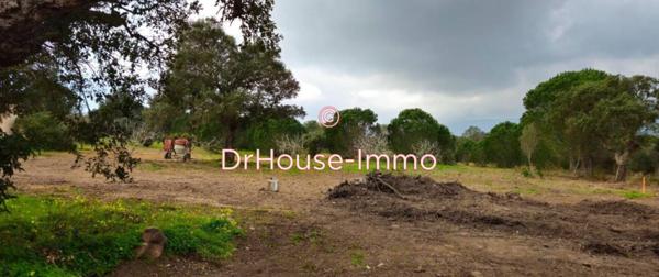 Terrain à vendre de 4 250 m²