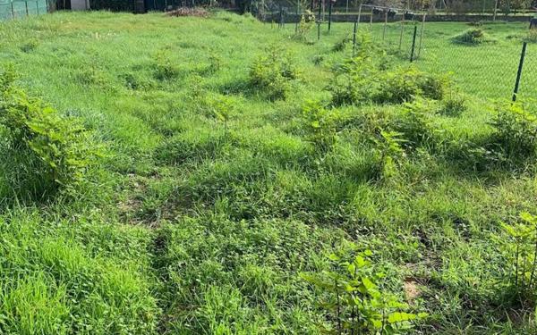 Maison à vendre    5 pièces • 120 m2 Nevers