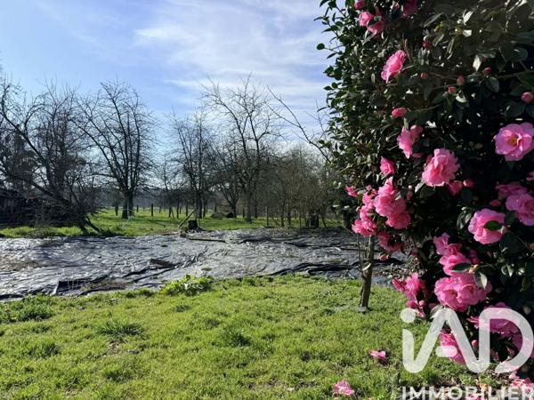 Maison à vendre 6 pièces 123 m² Mortain-Bocage