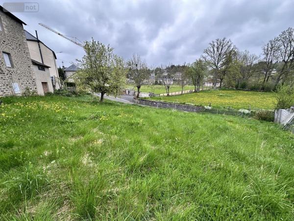 Maison à vendre à Neuvéglise-sur-Truyère dans le Cantal (15100), ref : 15046-40