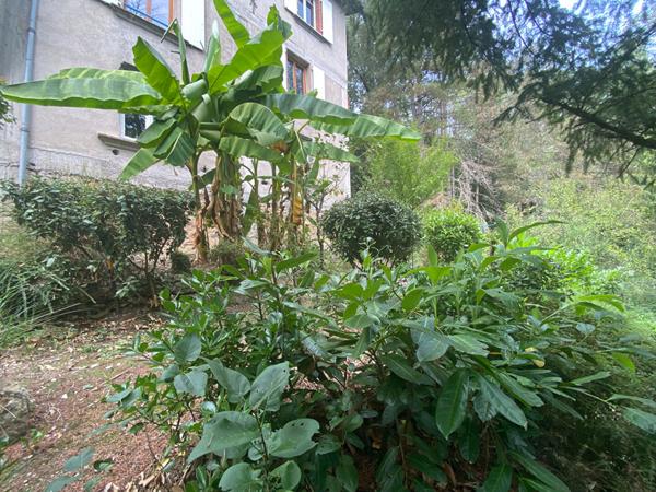 Carmaux, maison de type 4 de 132 m²