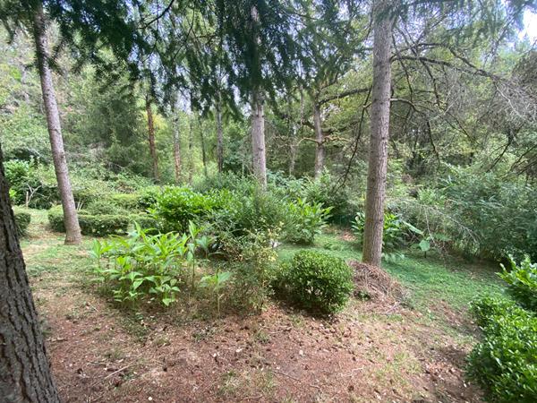 Carmaux, maison de type 4 de 132 m²