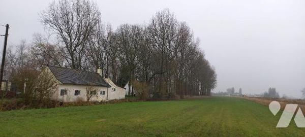 Maison à Vendre à Bourbourg (59630) Nord (59), en campagne,  dans un écrin de verdure maison in...