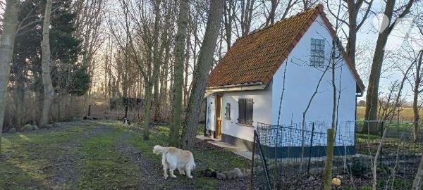 Maison à Vendre à Bourbourg (59630) Nord (59), en campagne,  dans un écrin de verdure maison in...
