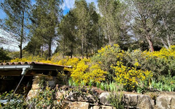 Maison à vendre    3 pièces •  Espéraza