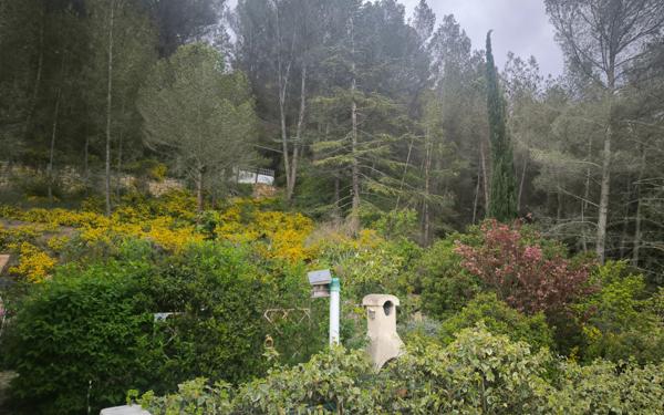 Maison à vendre    3 pièces •  Espéraza