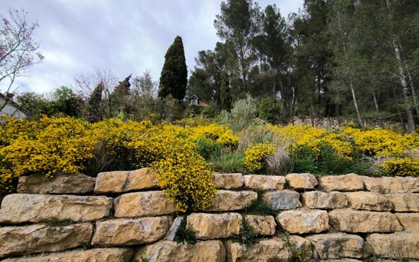 Maison à vendre    3 pièces •  Espéraza