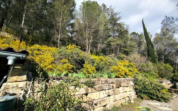 Maison à vendre    3 pièces •  Espéraza