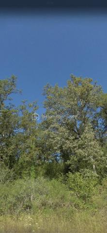 Terrain de 9 912 m²