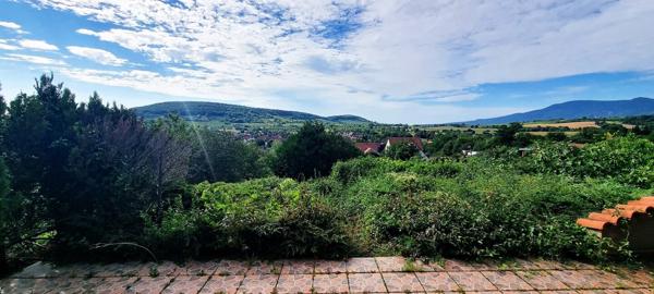 Belle demeure 7 pièces sur les hauteurs de Rosheim