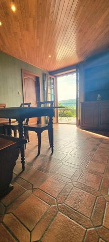 Belle demeure 7 pièces sur les hauteurs de Rosheim