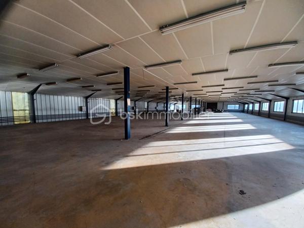 Immeuble de 5 870 m²