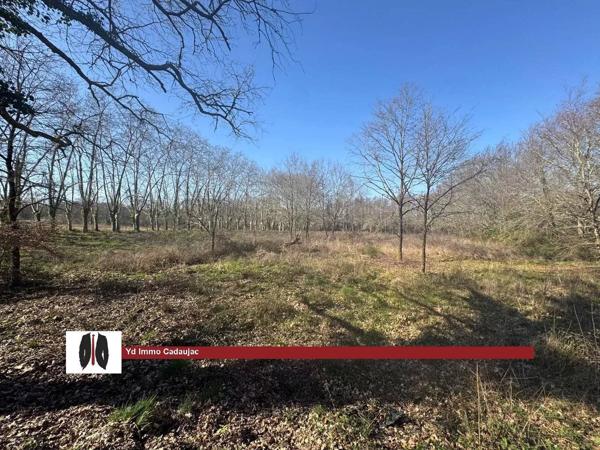 Vente immobilière : Terrain constructible à Martillac   700 m² 194 850 €- YD Immo Cadaujac.