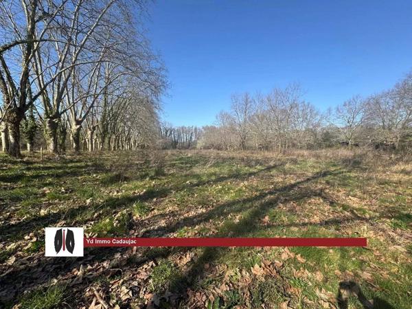 Vente immobilière : Terrain constructible à Martillac   700 m² 194 850 €- YD Immo Cadaujac.