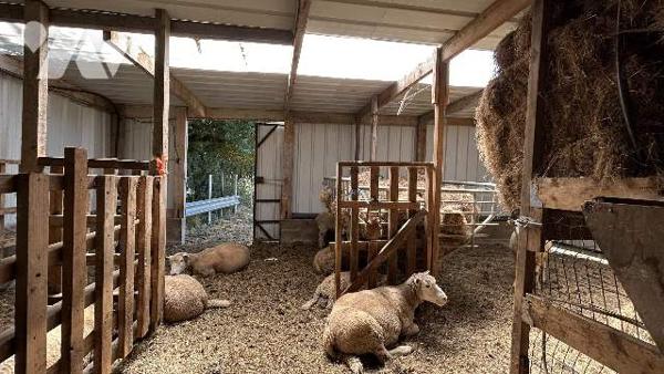 Maison de campagne, dépendances, terrain
