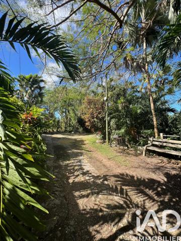 Maison à vendre 9 pièces 194 m² Morne-à-l'Eau