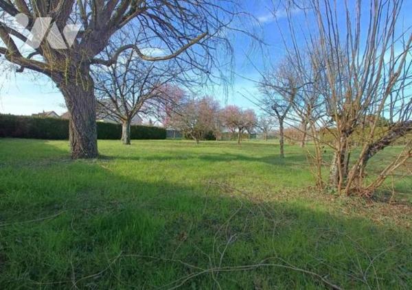 Terrain à bâtir - Savonnières