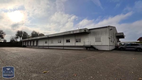 Local industriel à vendre 1250m²