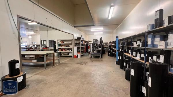 Local industriel à vendre 1250m²