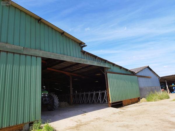 Maison à vendre à Sainte-Sévère-sur-Indre dans l'Indre (36160), ref : 2462