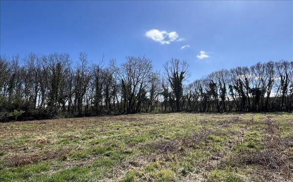 Terrain à vendre |  Muret |  3775 m²