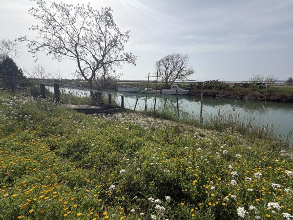 Maison Authentique face à l'étang avec ponton Privatif 795 000 €