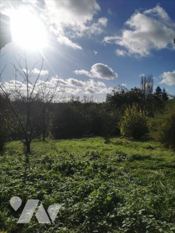 Ensemble Immobilier : MAISON + annexes + terrains