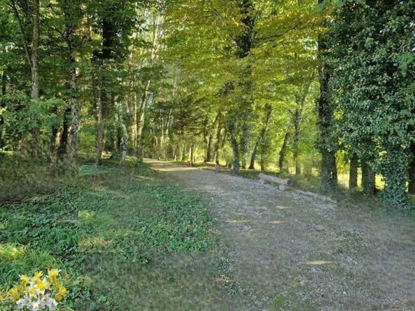 PROPRIÉTÉ avec VILLA PARC FORET à vendre 8 pièces proche CONTREXEVILLE (88) idéale GITE de groupe/ Maison - 6910 m2 de TERRAIN