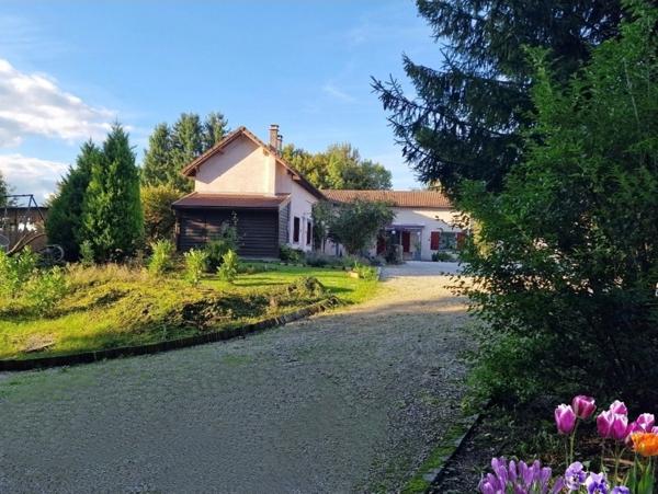 PROPRIÉTÉ avec VILLA PARC FORET à vendre 8 pièces proche CONTREXEVILLE (88) idéale GITE de groupe/ Maison - 6910 m2 de TERRAIN