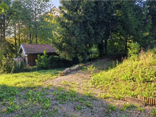 PROPRIÉTÉ avec VILLA PARC FORET à vendre 8 pièces proche CONTREXEVILLE (88) idéale GITE de groupe/ Maison - 6910 m2 de TERRAIN