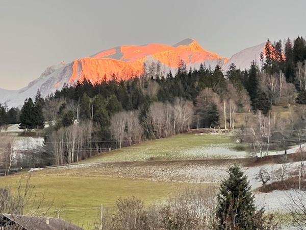 Vue sur le Mont-Blanc - qualité des matériaux - localisation