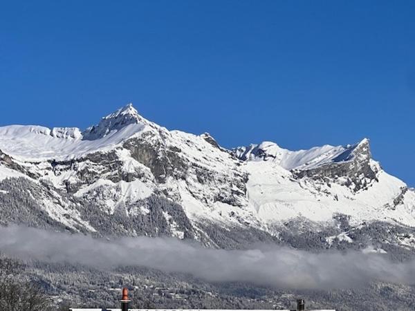 Vue sur le Mont-Blanc - qualité des matériaux - localisation