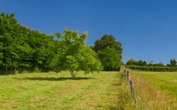 Maison à vendre    4 pièces • 108 m2 Couleuvre